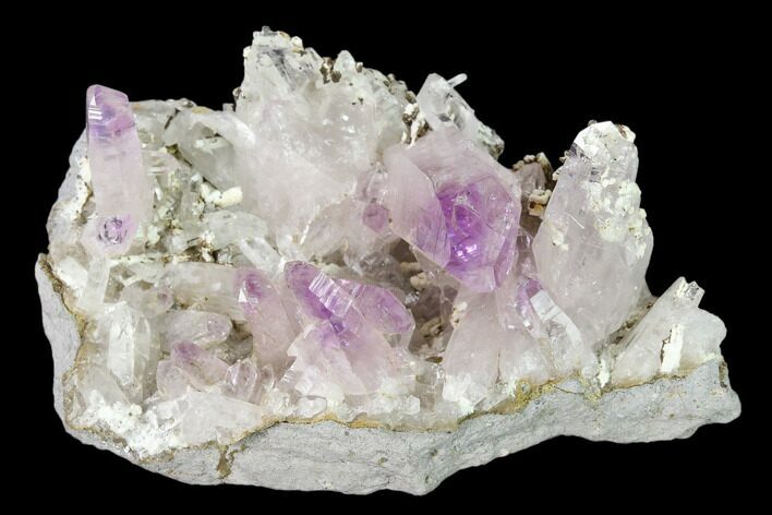 Amethyst Crystal Cluster - Las Vigas, Mexico #137004